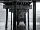 Tn Under the pier